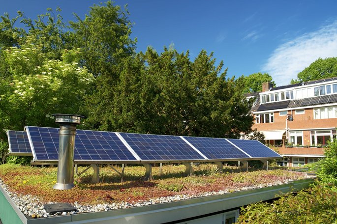 Photovoltaikanlage auf Gründach